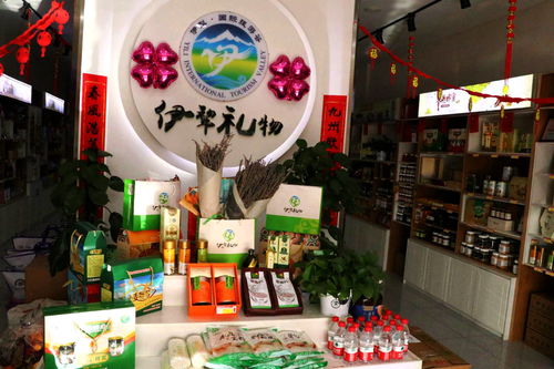 文化創(chuàng)意點(diǎn)亮絲路 新疆伊犁第三屆‘伊犁禮物’文旅商品創(chuàng)意設(shè)計(jì)大賽正式啟動(dòng)